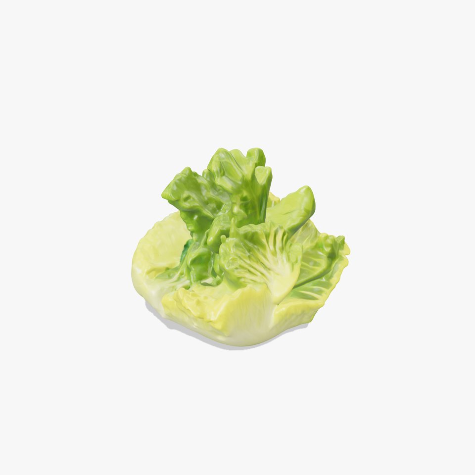 Fresh Green Lettuce Leaf Detail model pack